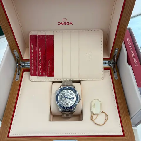 Omega  Seamaster (2021) view 2