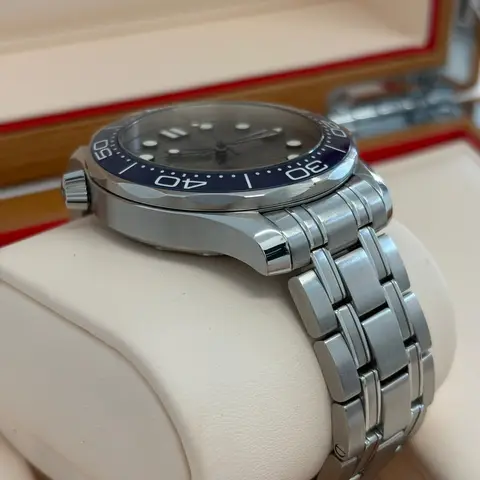 Omega  Seamaster (2021) view 4